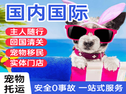 黄山屯溪空运公司国际宠物托运 【国